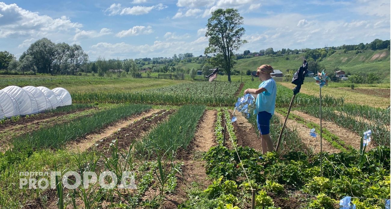Минздрав Чувашии рассказал дачникам, как не надорвать спину в майские