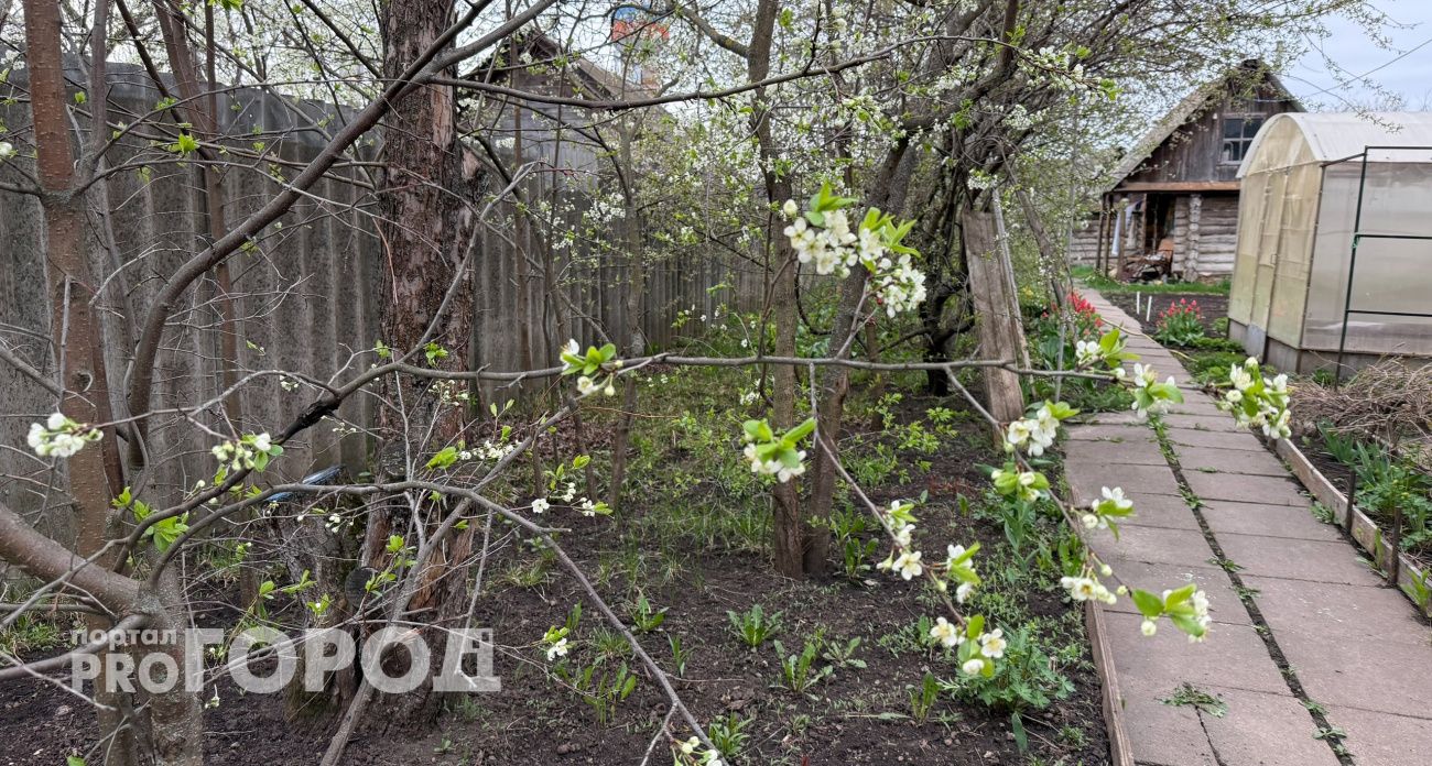 Для россиян начинается трехдневная рабочая неделя с длинными выходными