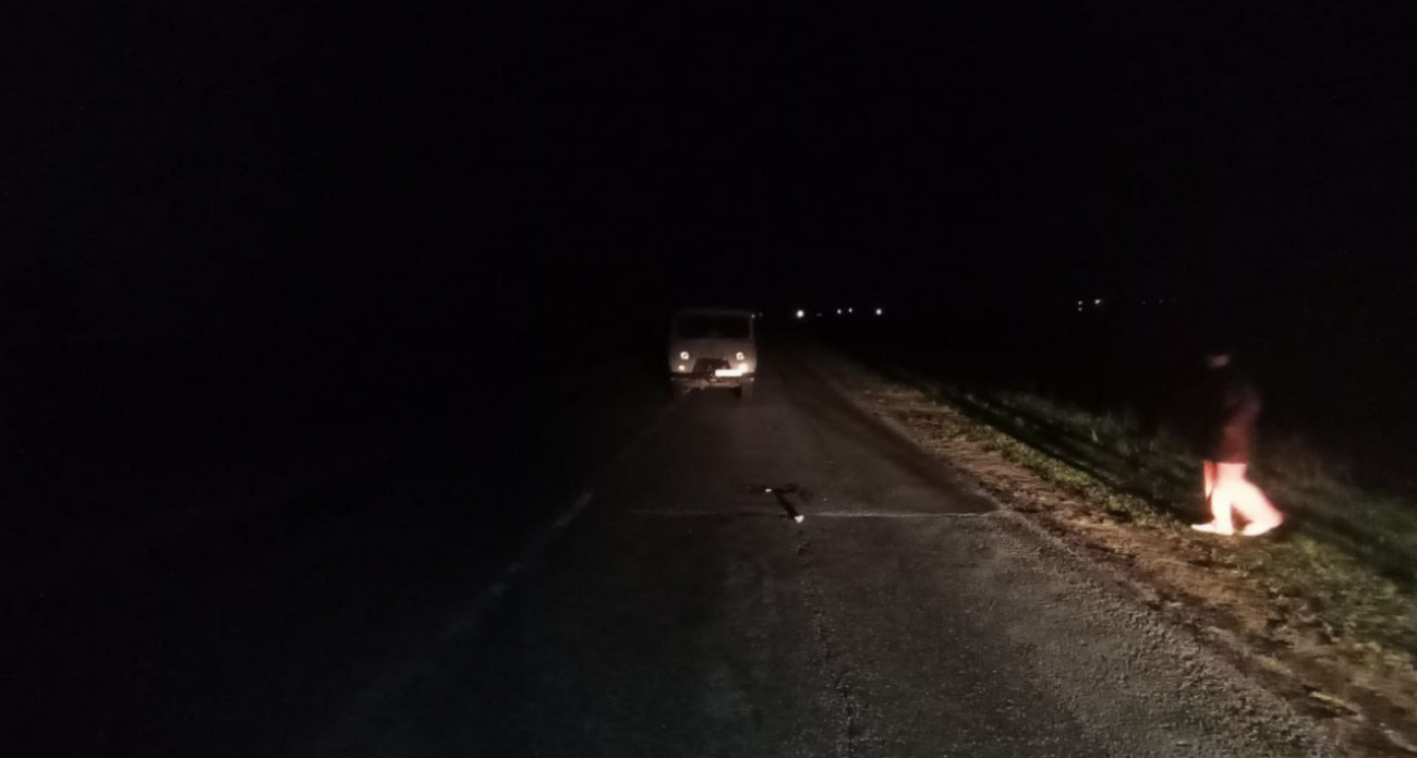 Стоял на дороге и попал под колеса: в Чебоксарском районе сбили пешехода