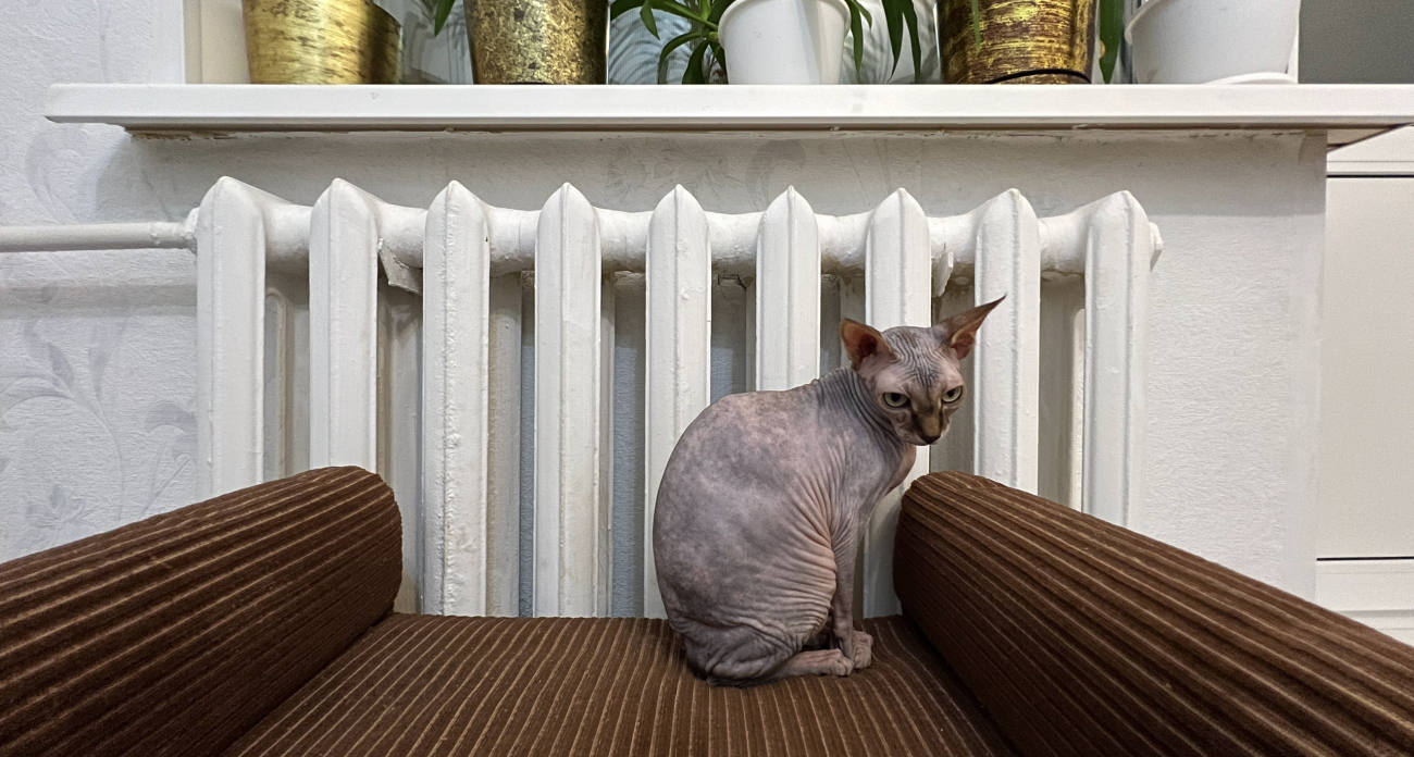 Россияне поголовно отдают 15 тысяч за батареи: предупреждение для владельцев квартир