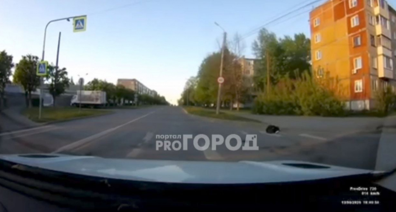 Появилась новая версия происшествия с пешеходом на улице Николаева в Чебоксарах: он упал сам