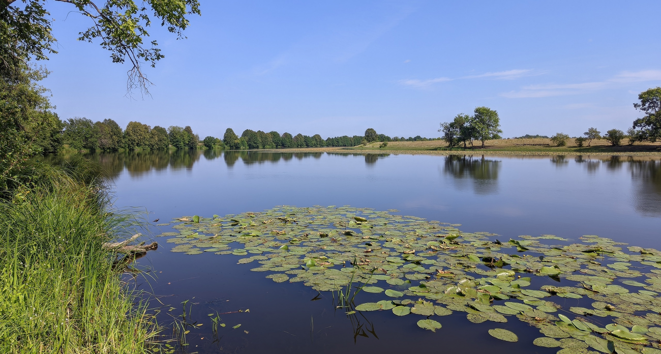 Такого лета не было 50 лет: Вильфанд предсказывает аномальные месяцы