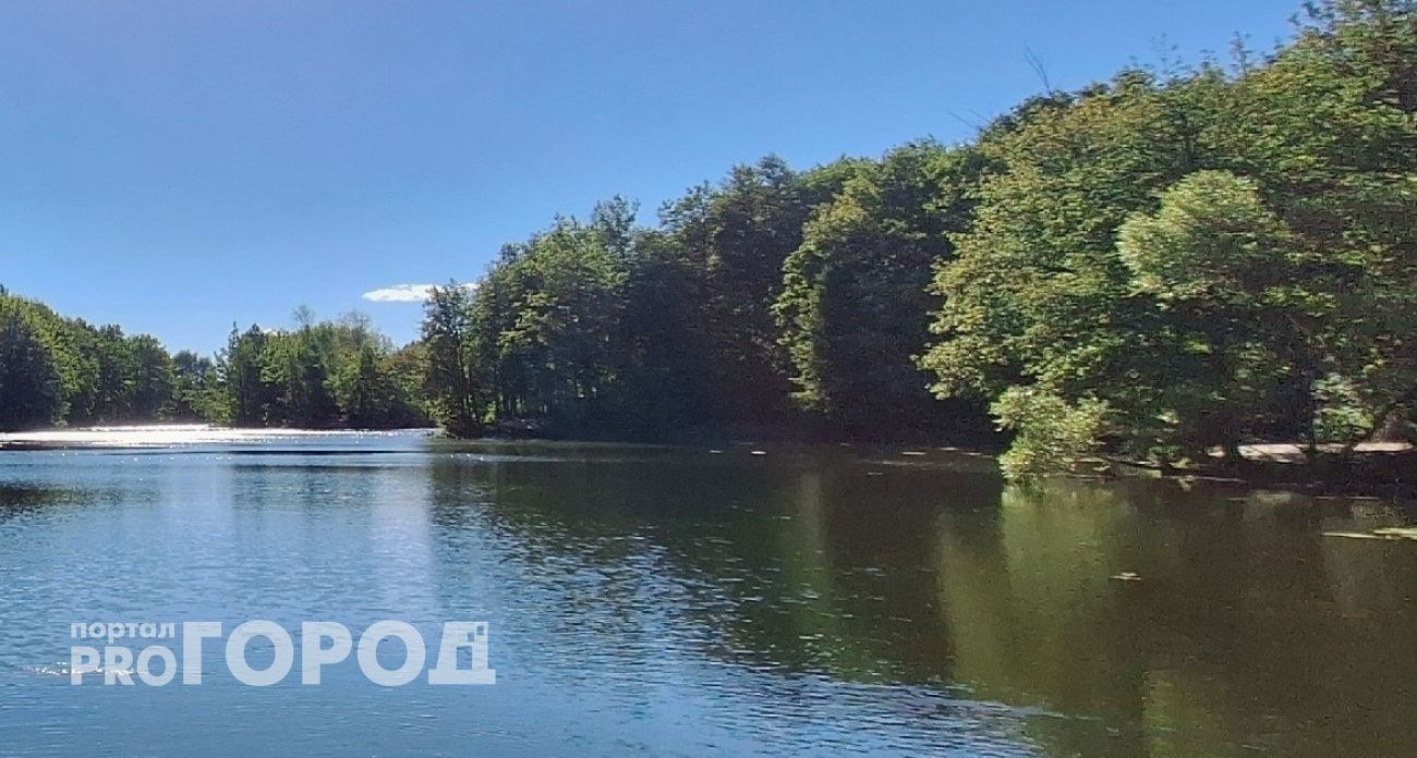 Власти обратились к жителям из-за массовой гибели рыбы в реке Алатырь 