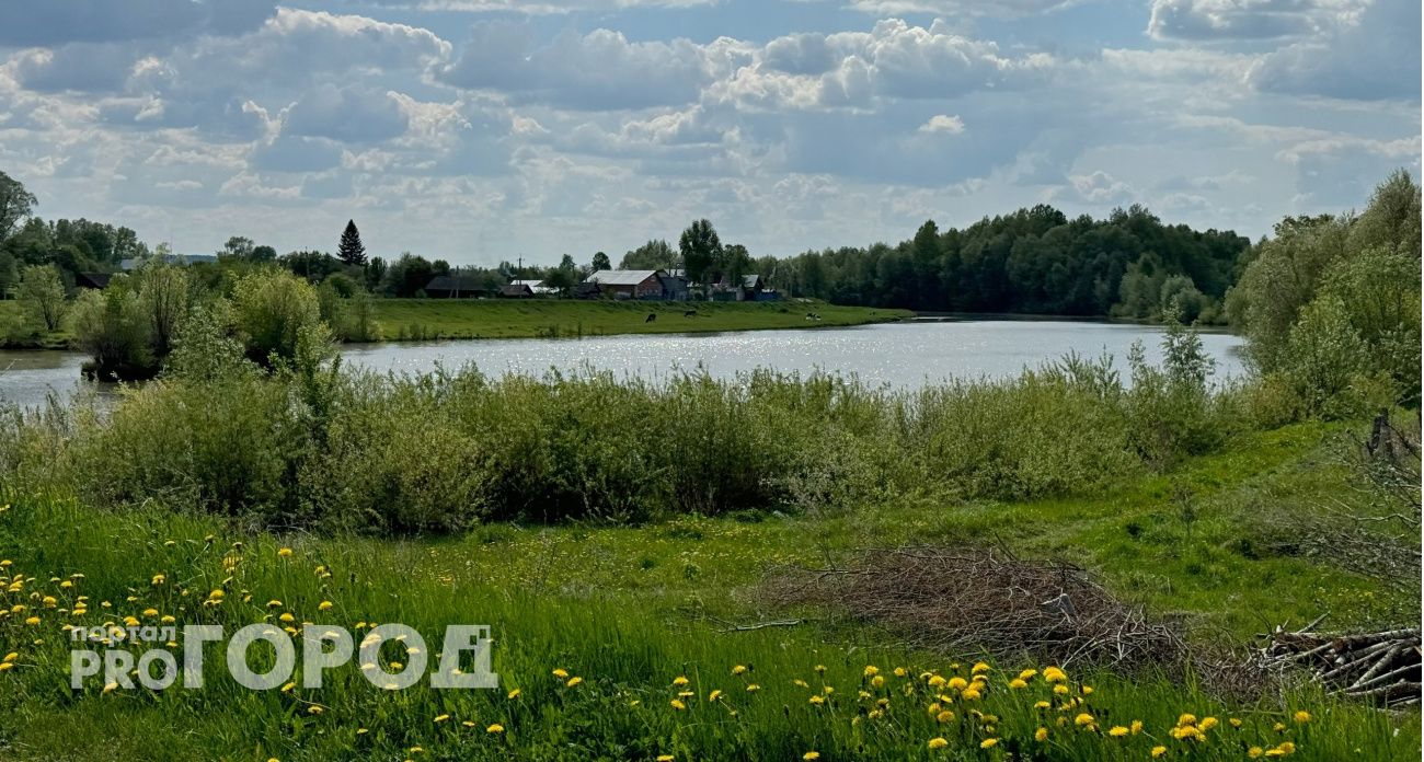 Когда в Чувашии установится сухая солнечная погода с 20-градусным теплом