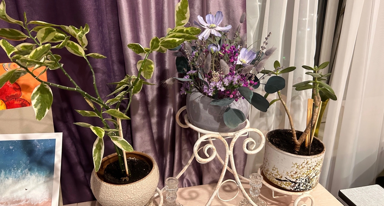 Беды навалились одна за другой: эти 3 комнатных растения притягивают деньги, любовь и защиту