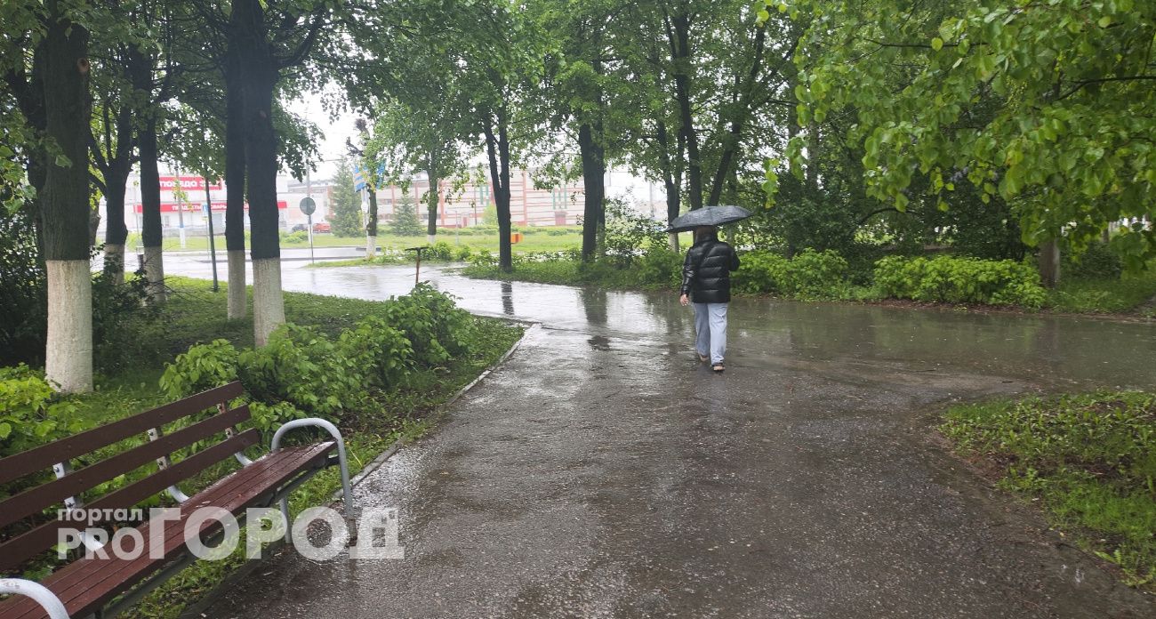 В середине недели жителям Чувашии снова пригодятся зонтики