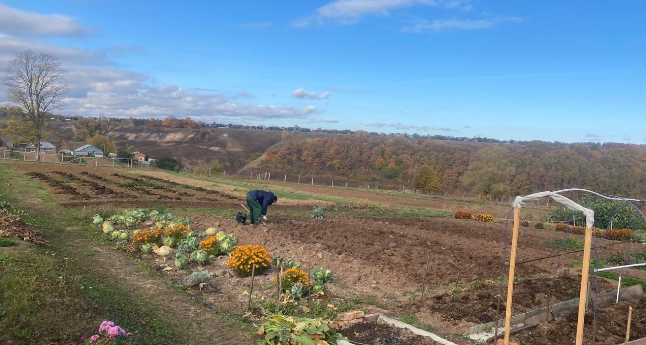 Эти 5 ошибок лишают урожая даже опытных дачников — срочно проверьте свои привычки