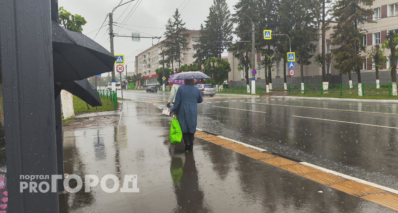 Минувший вторник в Чебоксарах стал самым дождливым днем в истории мая