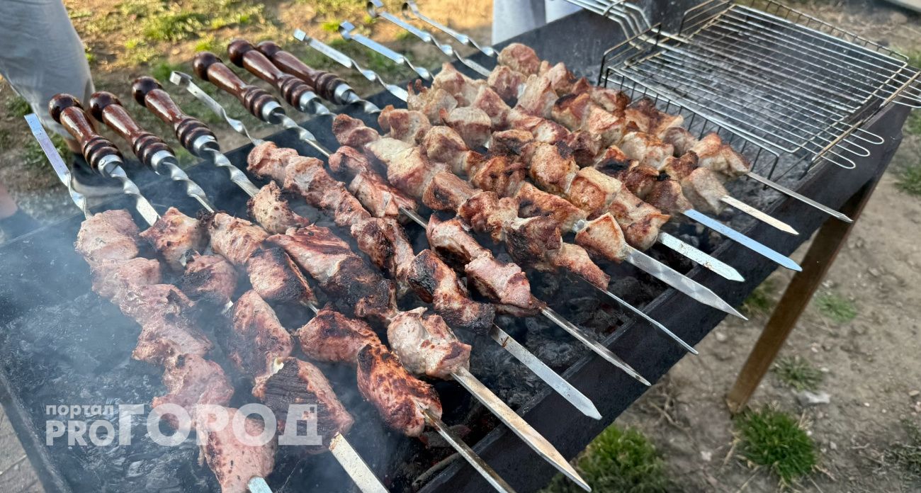 Последний звонок без шашлыков: в Минприроды напомнили жителям Чувашии о строгом запрете на разведение огня