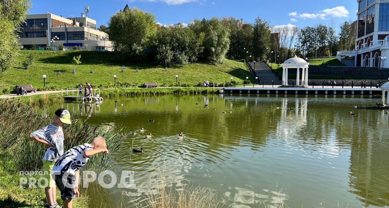 В Чувашию пришла летняя жара: днем ожидается +26