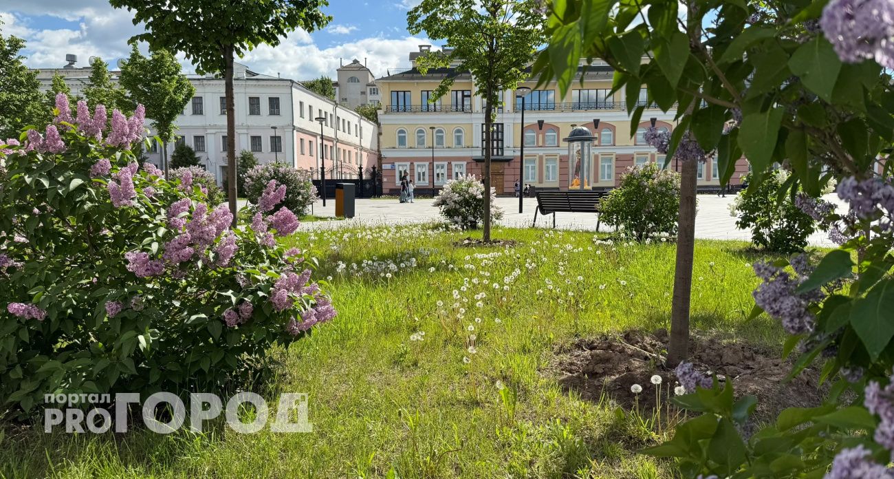 Июнь удивит жителей Чувашии: "Ждем пять волн потепления и похолодания"