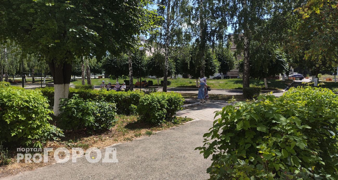 Пенсионерка из Чувашии осталась без жилья и в долгах за 40 дней общения по телефону