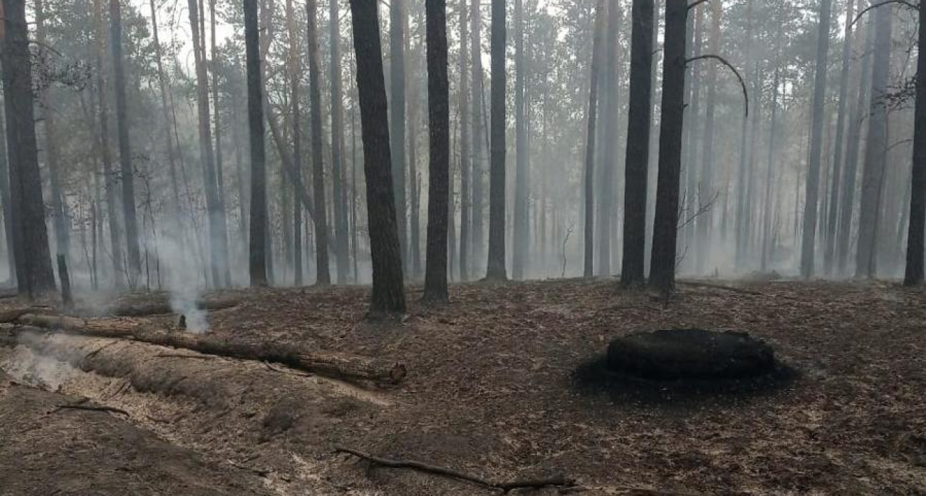 Пожарные и лесничие Чувашии почти весь день тушили пожар в лесу из-за его труднодоступности 