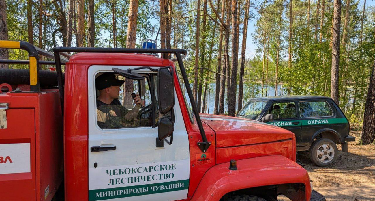 В Заволжье лесные патрули по громкоговорителю разогнали отдыхающих у озера Изъяр