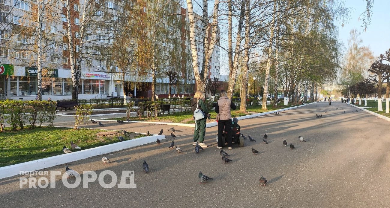 Фото к статье: Больше 50 беременных студенток в Чувашии уже получили по 100 тысяч рублей