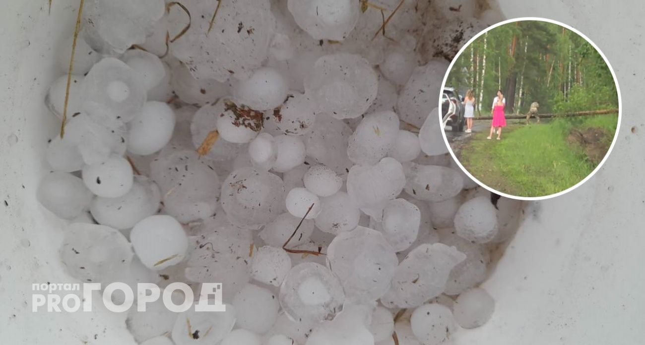 Огромные градины бьют окна, а ветер валит деревья: Чувашия столкнулась с агрессивной непогодой
