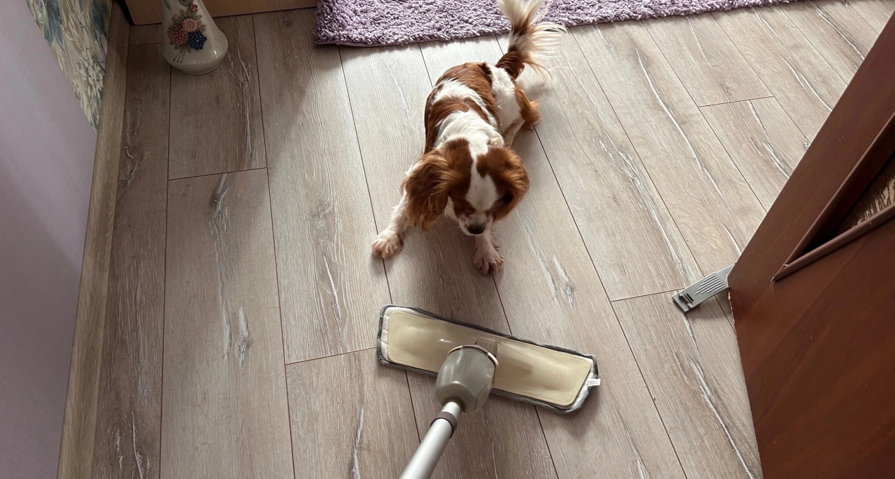 Полы будут блестеть от чистоты минимум неделю: добавьте при мытье всего одну ложку средства из аптеки