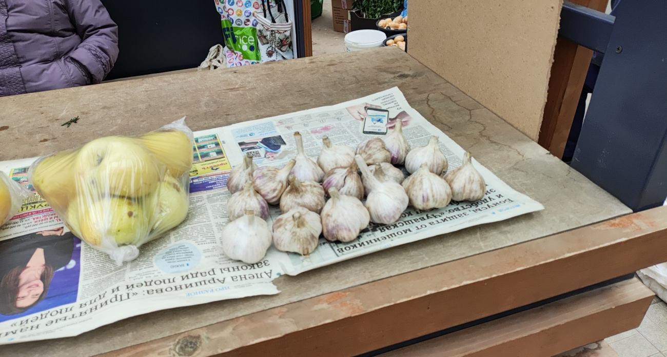 Собираю бешеный урожай: секретным чесночным способом поделились опытные дачники