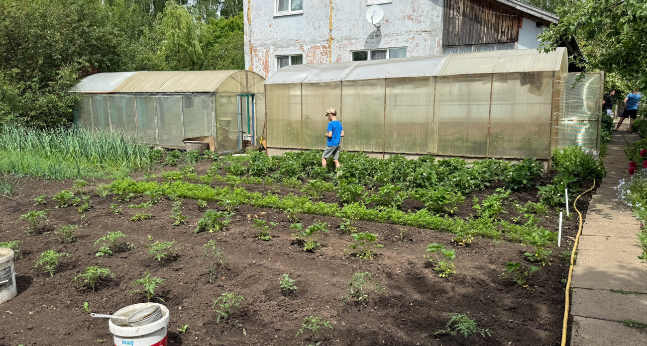 Больше не выкидываю: пластиковые горшки на даче работают лучше покупных укрытий