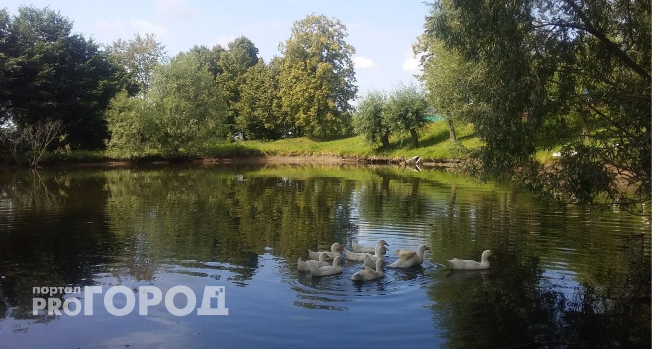 Глава сельского поселения в Чувашии отдал участок знакомому, занизив цену в 51 раз 