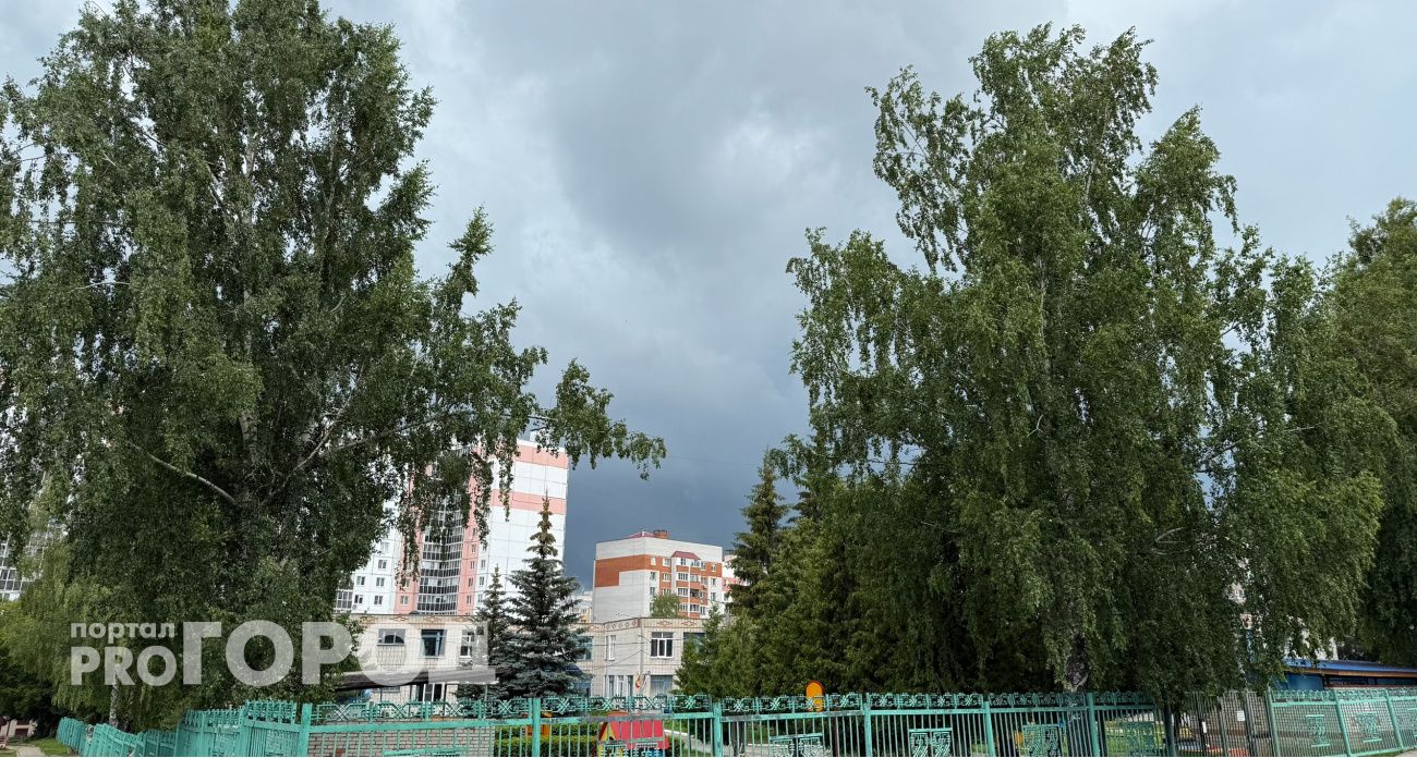 В последний день июня жителей Чувашии ждут прохладная погода и кратковременные дожди 