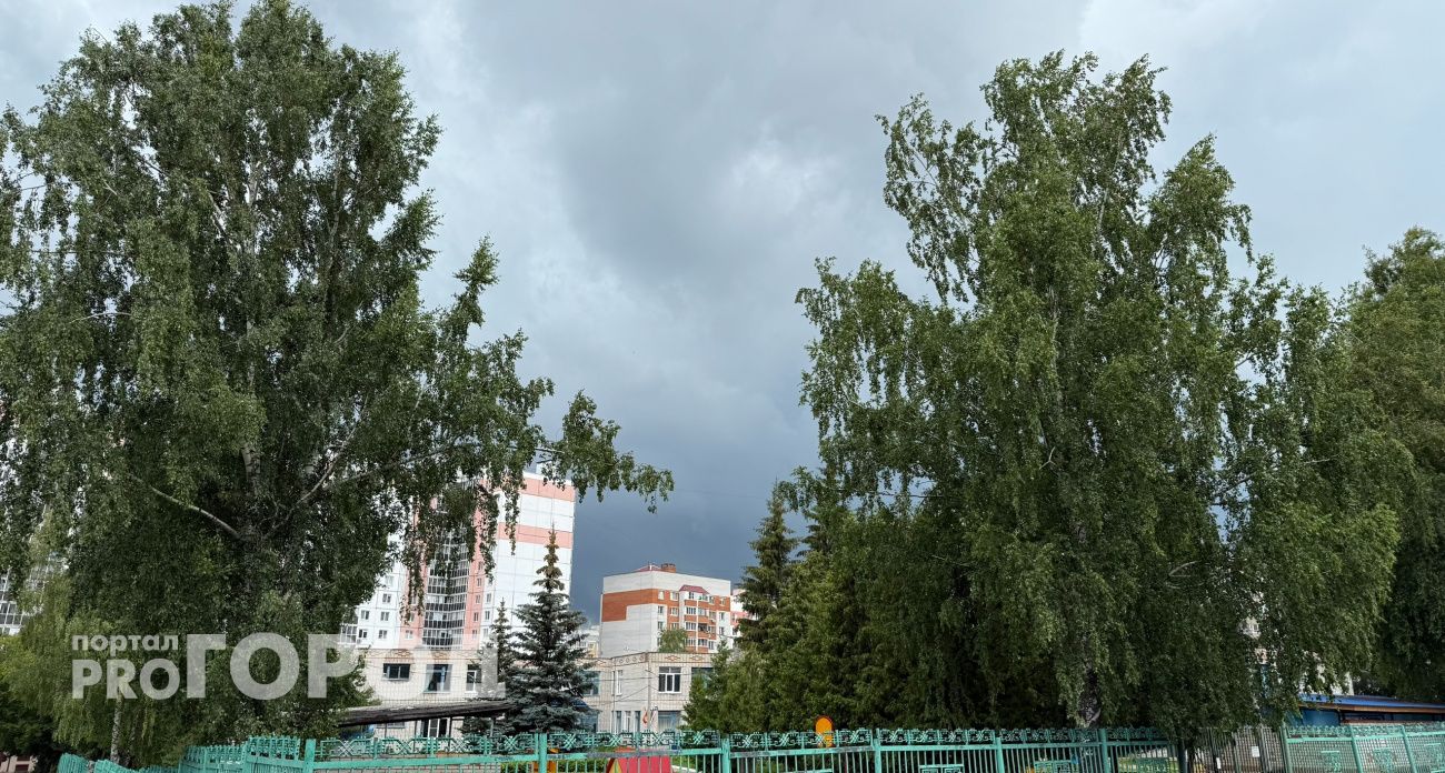 Дождливое лето в Чувашии продолжается: в среду не выше +20 градусов