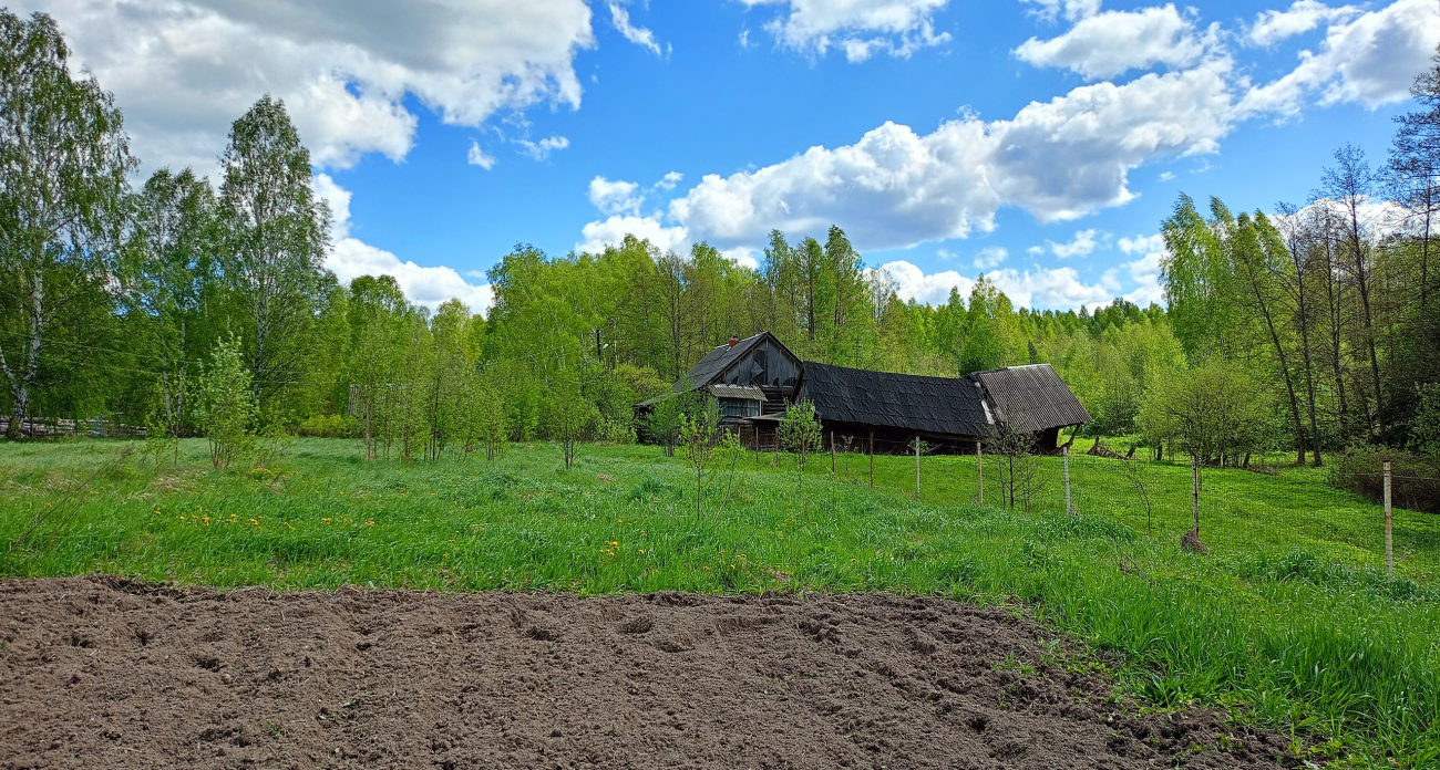Потеряете весь урожай: эти популярные народные методы для сада оказались вредными 