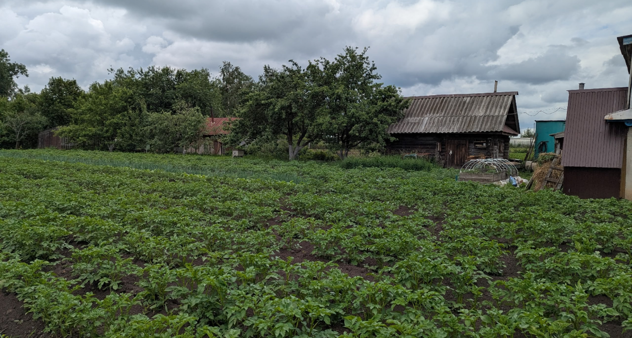 Дачникам на заметку: натуральное и простейшее средство избавит уличный туалет от зловония
