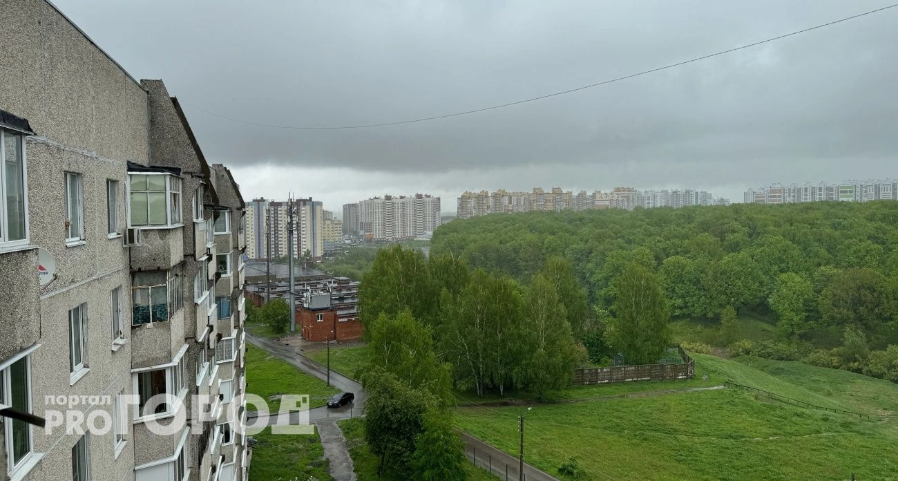Фото к статье: Новая рабочая неделя начнется для жителей Чувашии с потепления и гроз