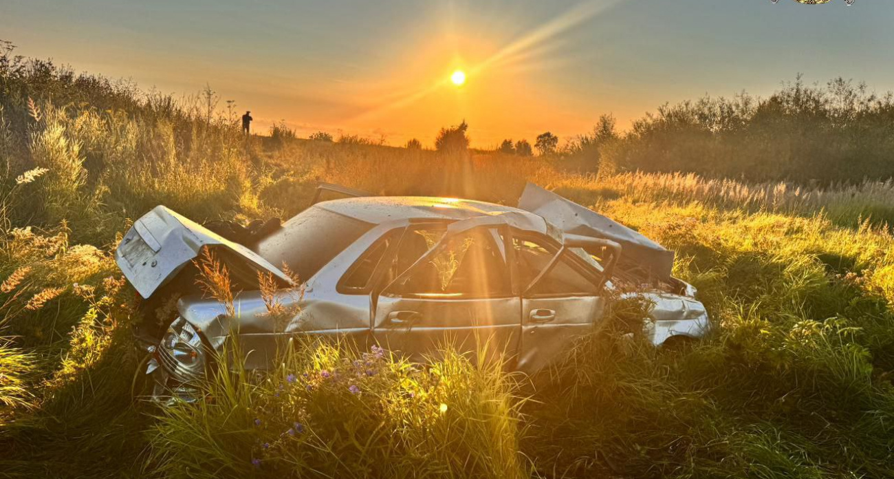 На рассвете в Яльчикском районе Lada Priora съехала в кювет: всех увезли в больницу