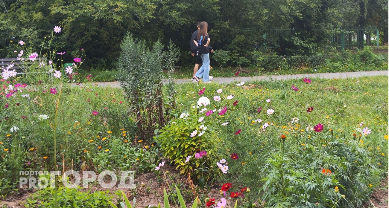 Воскресный прогноз: какие сюрпризы готовит природа жителям Чувашии