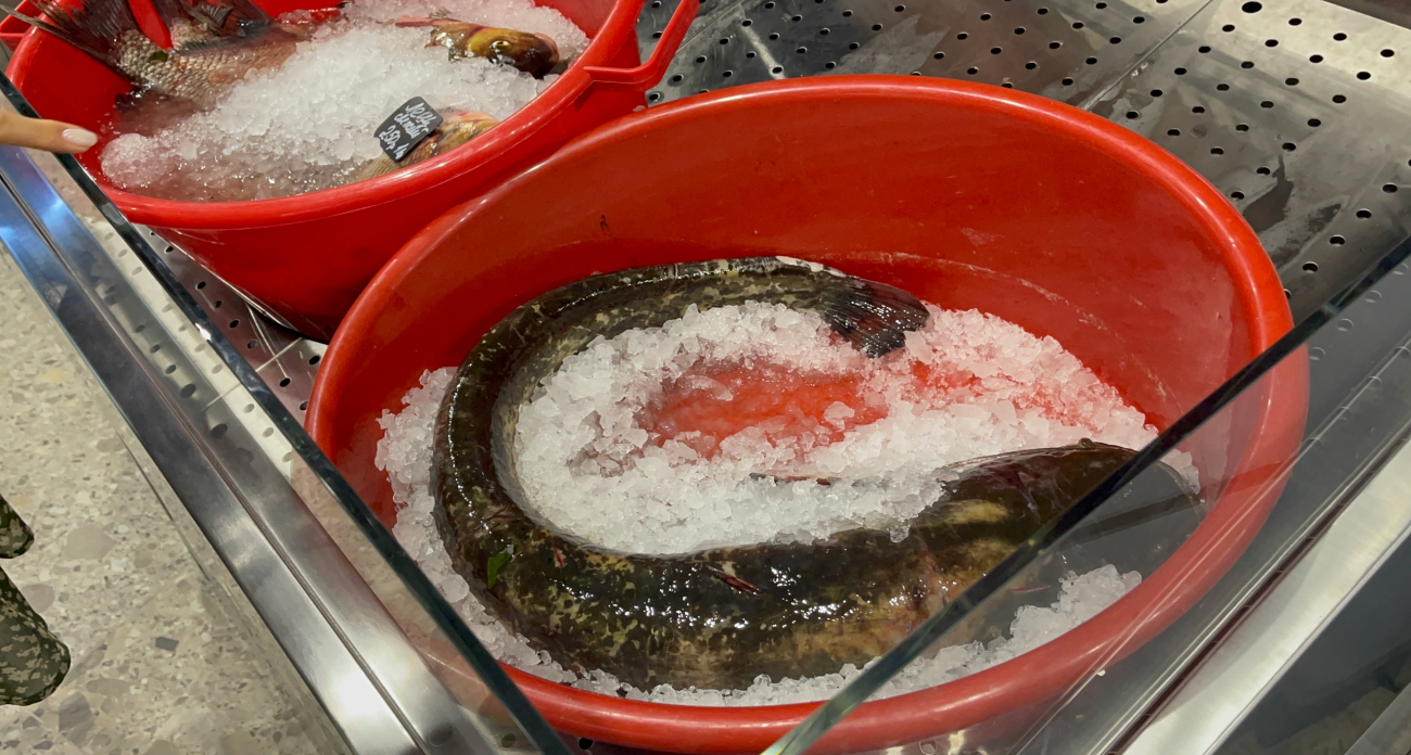 Не тунец и не лосось: ученые назвали самую полезную рыбу - рекордсмен по содержанию омега-3