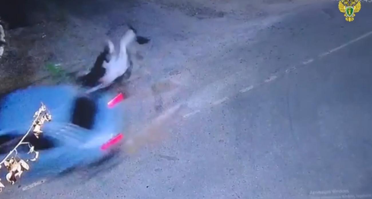 Момент столкновения легковушки и питбайкера с пассажиром в Вурнарах засняла камера