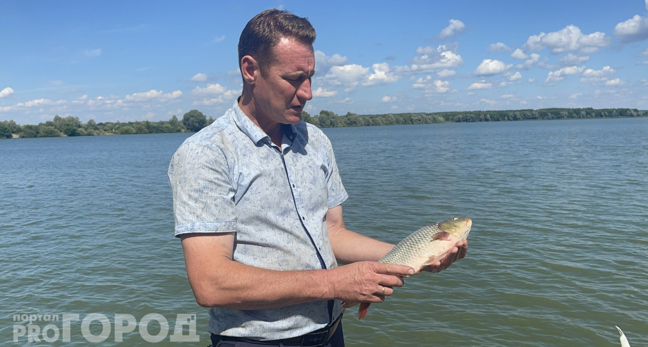 Чувашский чешуйчатый и анишский зеркальный: рыбхоз в Чувашии 40 лет выращивает племенных карпов собственной породы