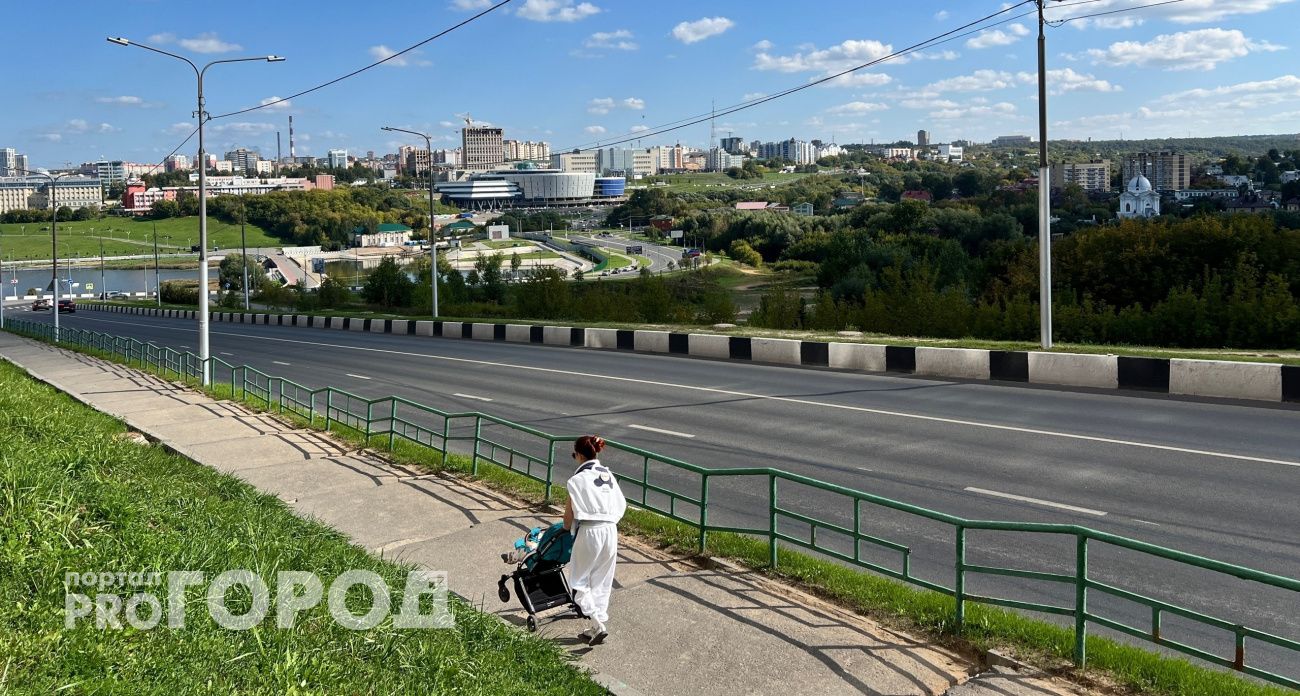 Мать четверых детей из Чебоксар добилась присвоения статуса многодетной и положенных льгот