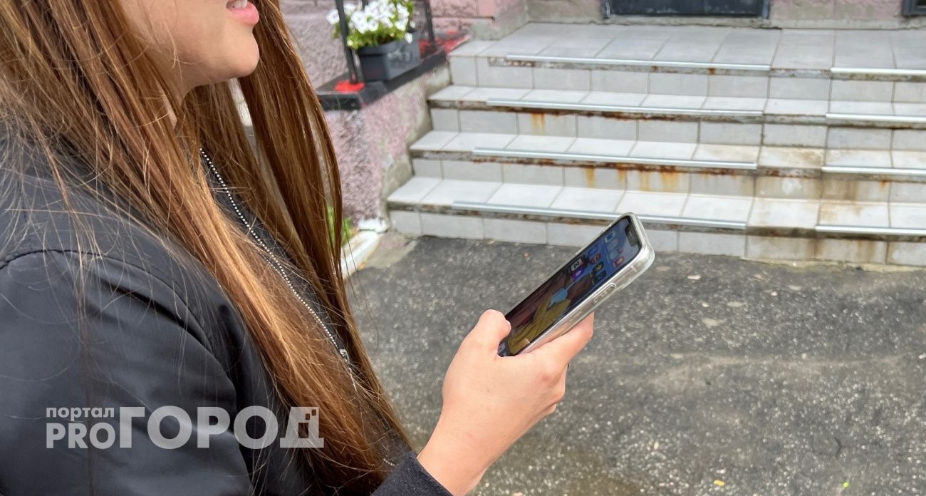 Группа министров займется внедрением и популяризацией мессенджера Max в Чувашии