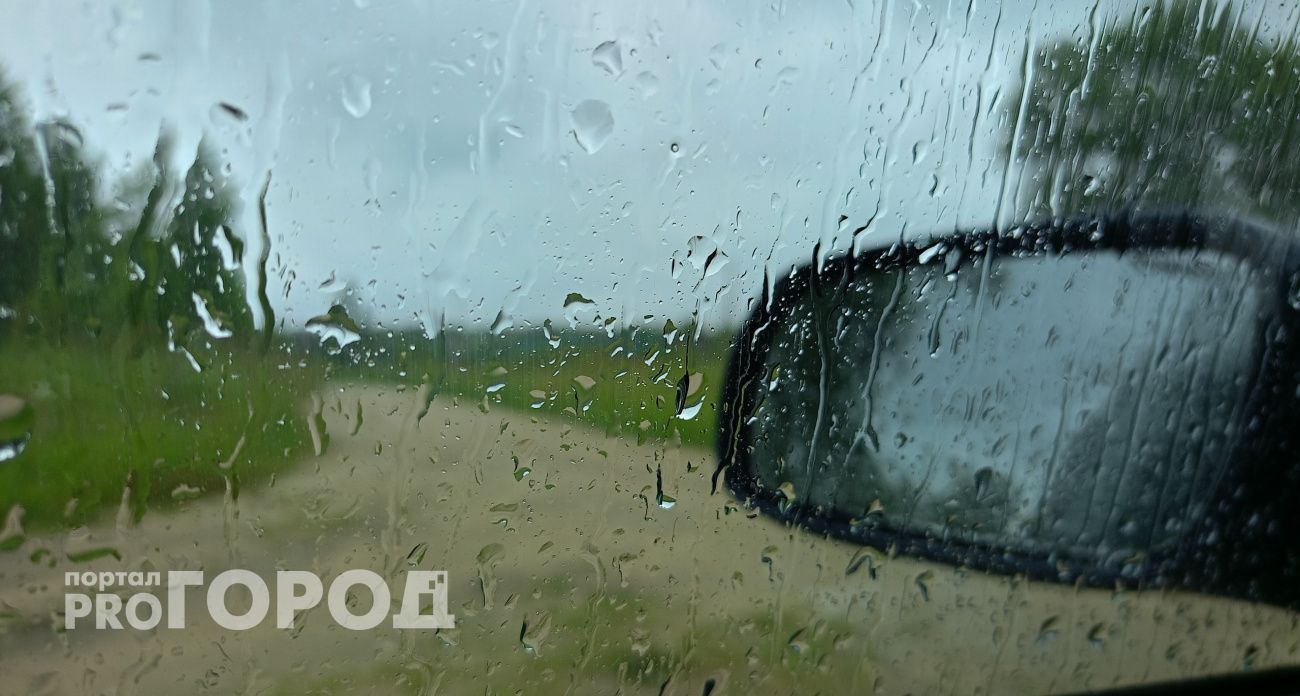 МЧС выпустило грозовое предупреждение для жителей Чувашии