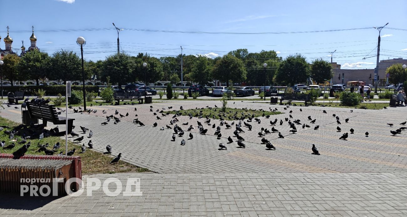 Какой погодой завтра порадует жителей Чувашии природа