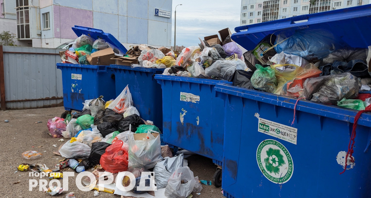 Проверьте свой мусорный пакет: всем, кто выкидывает это в контейнер, грозит штраф до 7 тысяч