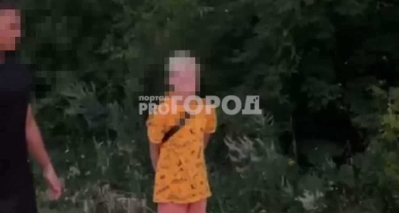 Екатерина Мизулина высказалась по поводу случая с детьми и предпринимателем-"педагогом" из Ядрина