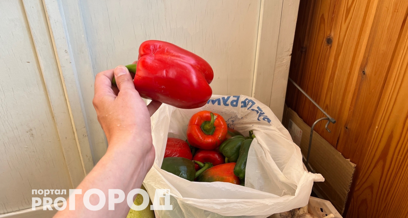 Секрет дачников раскрыт: как яблоко превратит зеленый перец в алый