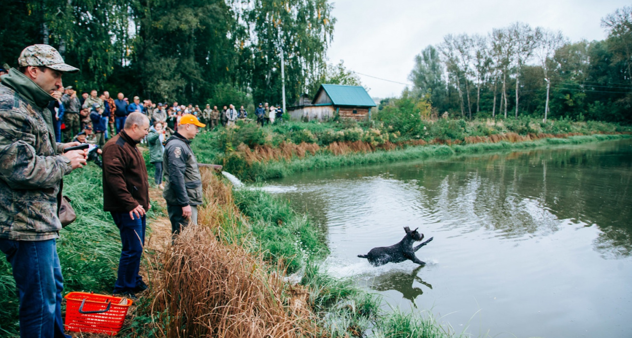 В Чувашии начинается сезон охоты на пернатую дичь