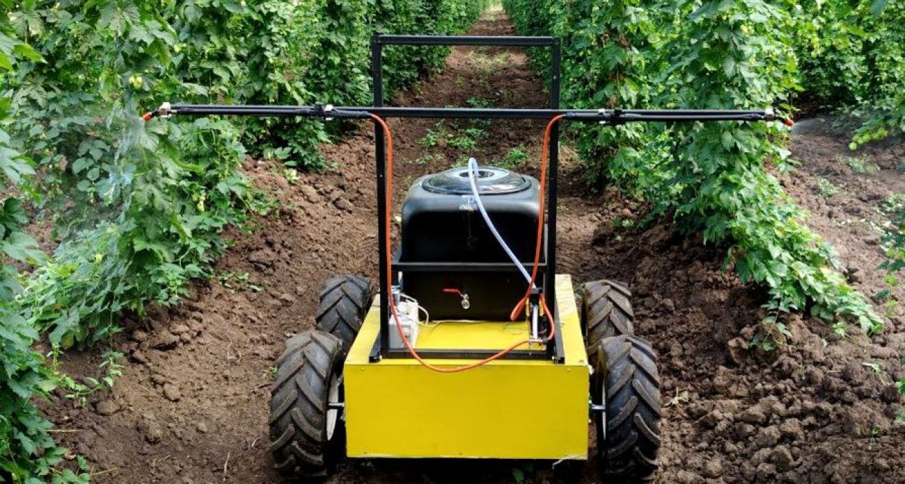 Студент из Чувашии разработал устройство для ухода за хмелем с технологиями искусственного интеллекта