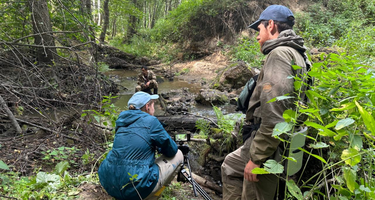 В Чувашии в заповеднике "Присурском" идут съемки телеканала "Живая планета"