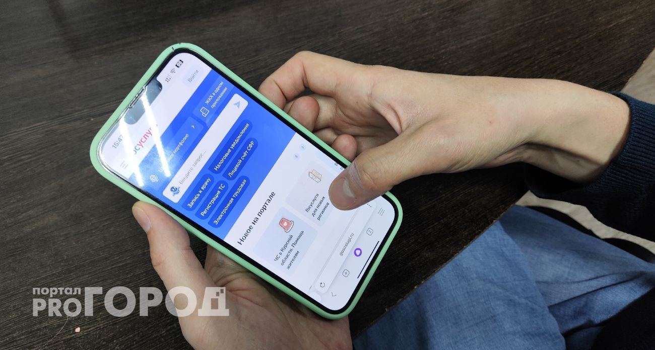 В России проверят сотовые номера на "Госуслугах"