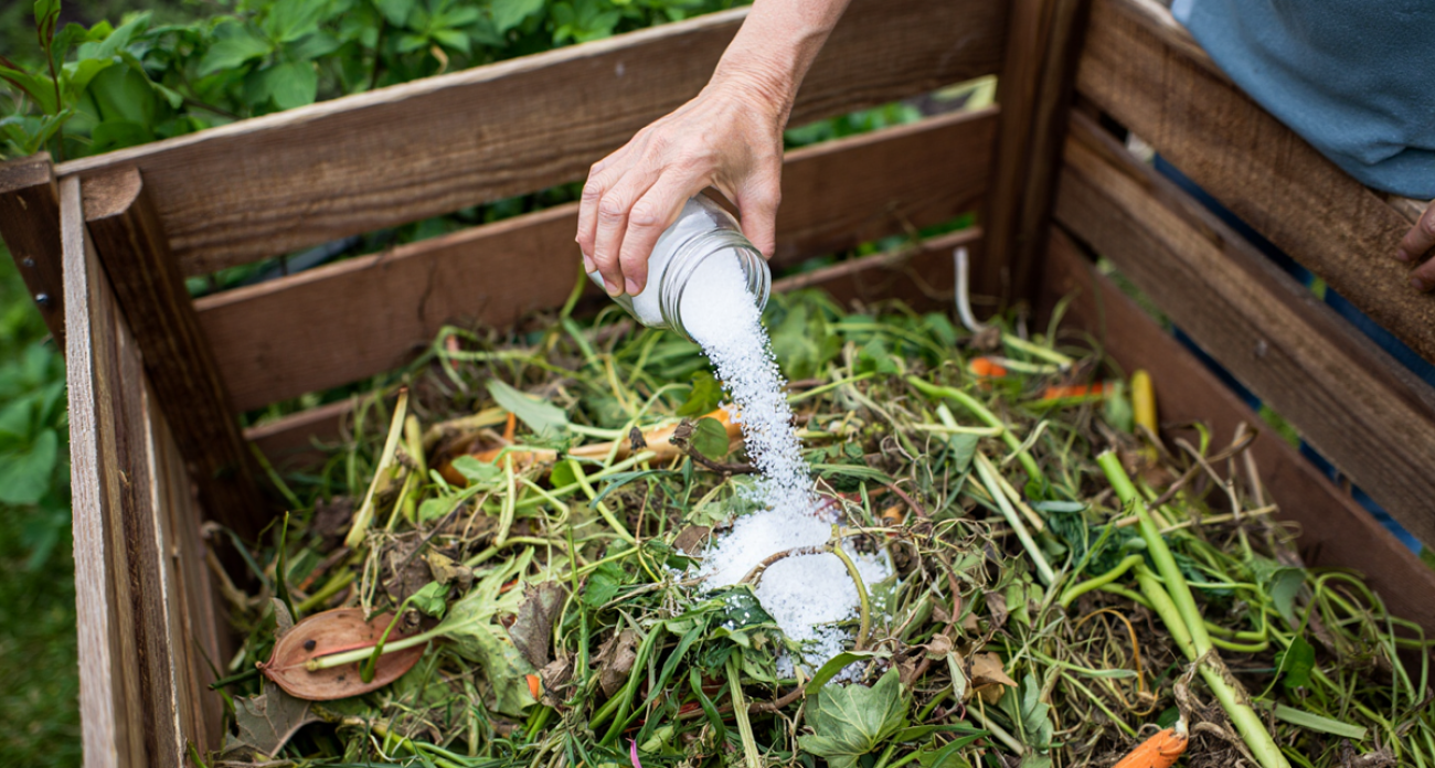 Поливаю этим компост в августе: к весне получаю лучшее удобрение – почва выдает вдвое больше урожая