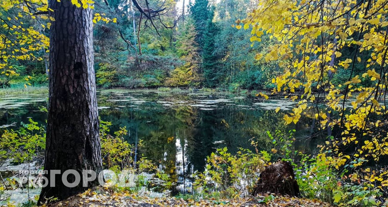 Ждать ли теплый сентябрь в Чувашии, и будет ли бабье лето