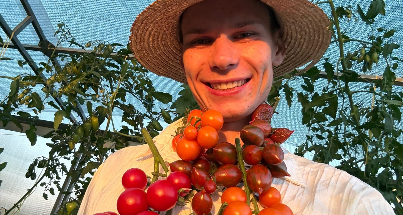 Молодой фермер из Чувашии поделился вкуснейшим рецептом вяленых томатов: "Три дня – и можно есть"