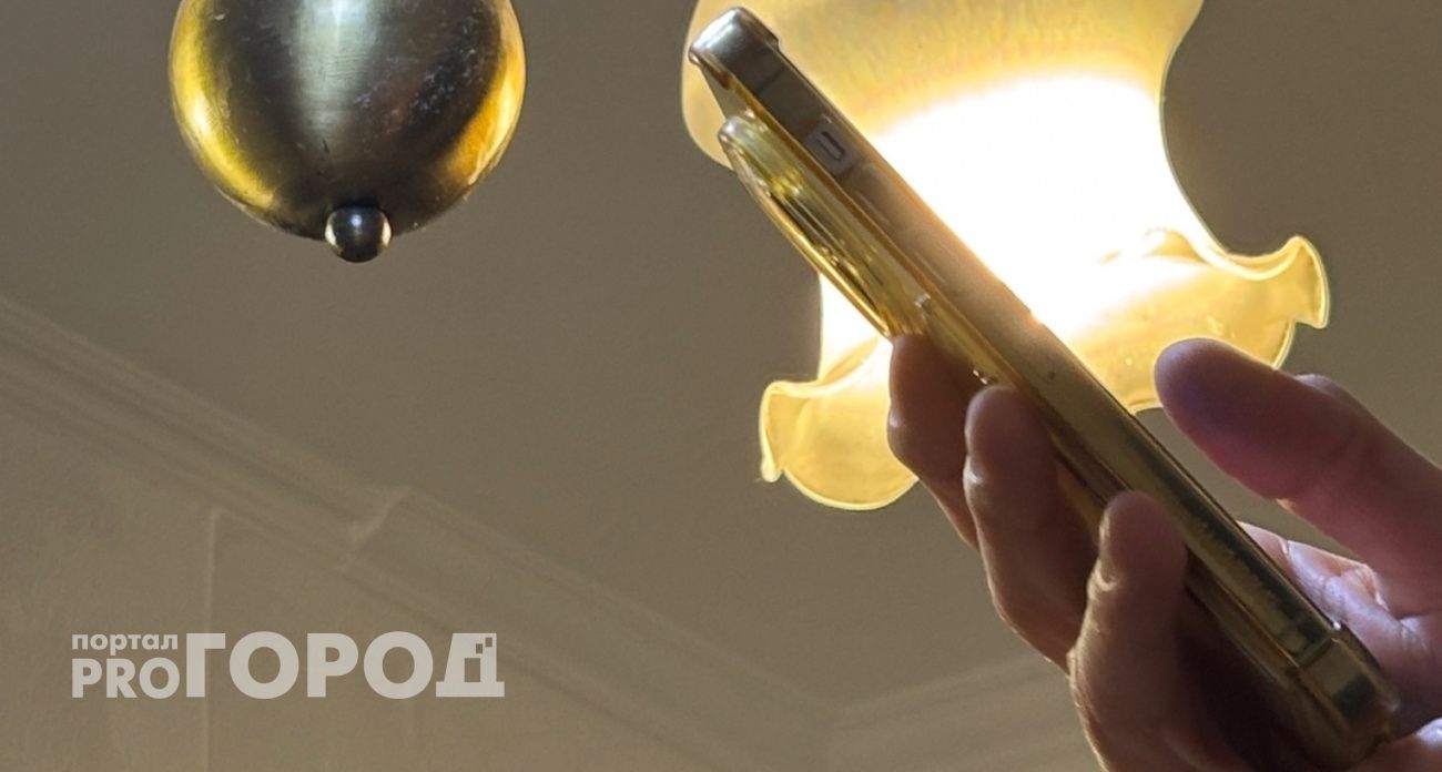 Внук из Петербурга едва не втянул бабушку из Чувашии в чужую аферу