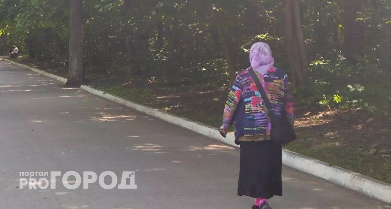 Повысить пенсии по всей России до размера двух МРОТ: несправедливость должна прекратиться  